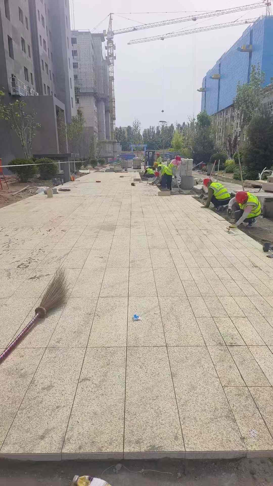 商洛黄金麻荔枝面地铺案例