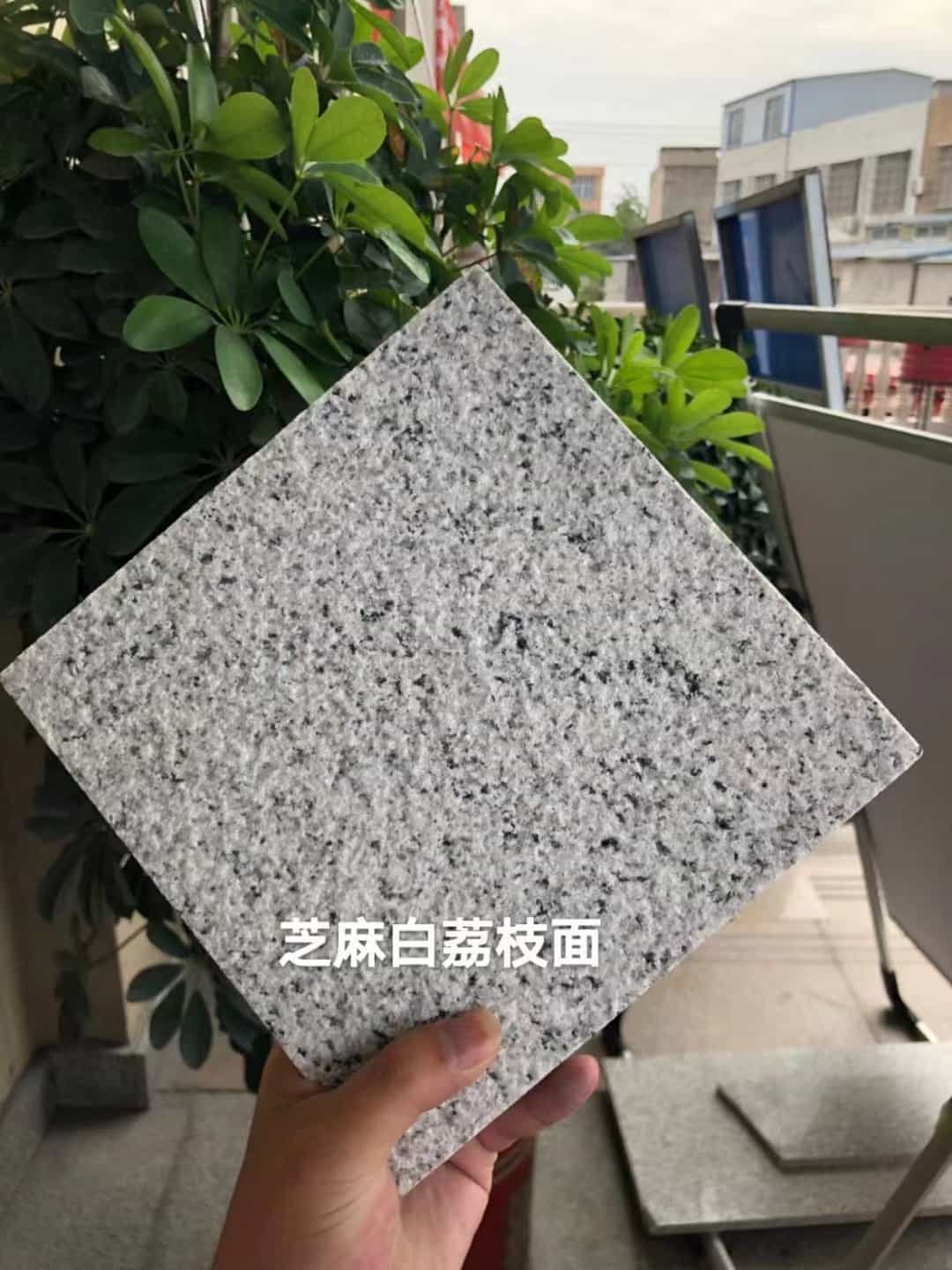 商洛 芝麻白荔枝面干挂