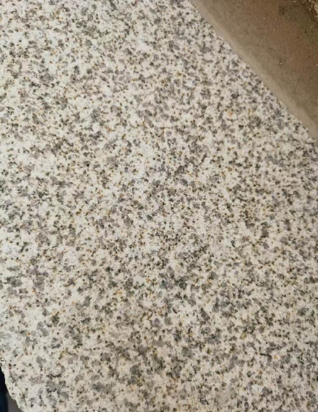 商洛 黄金麻中黄光面