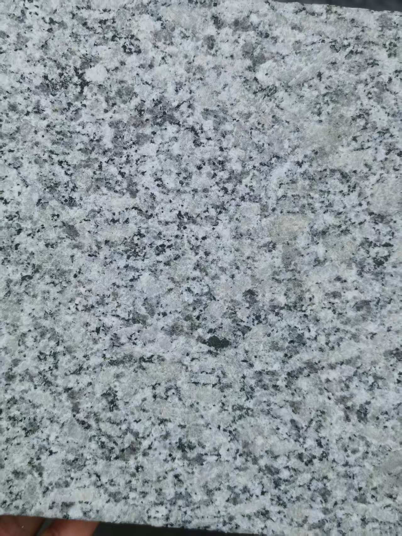 商洛 芙蓉白火烧面